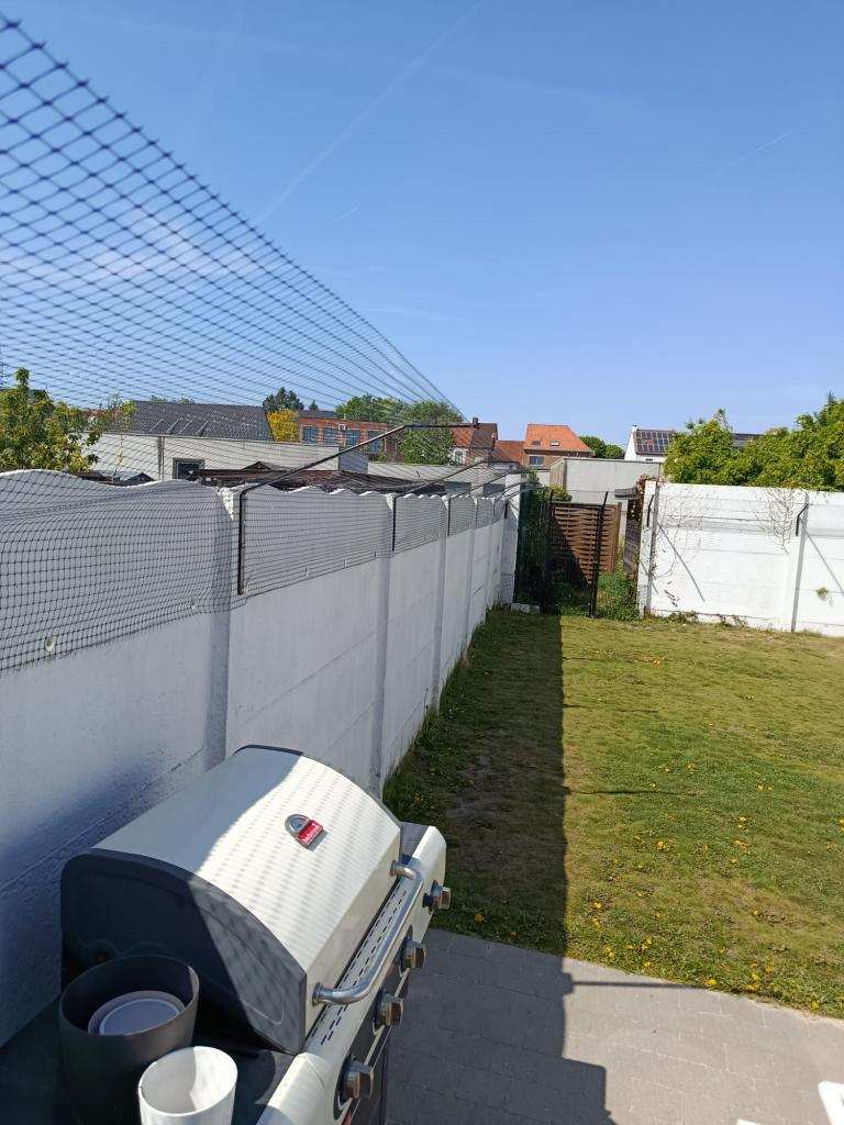 kattenomheining