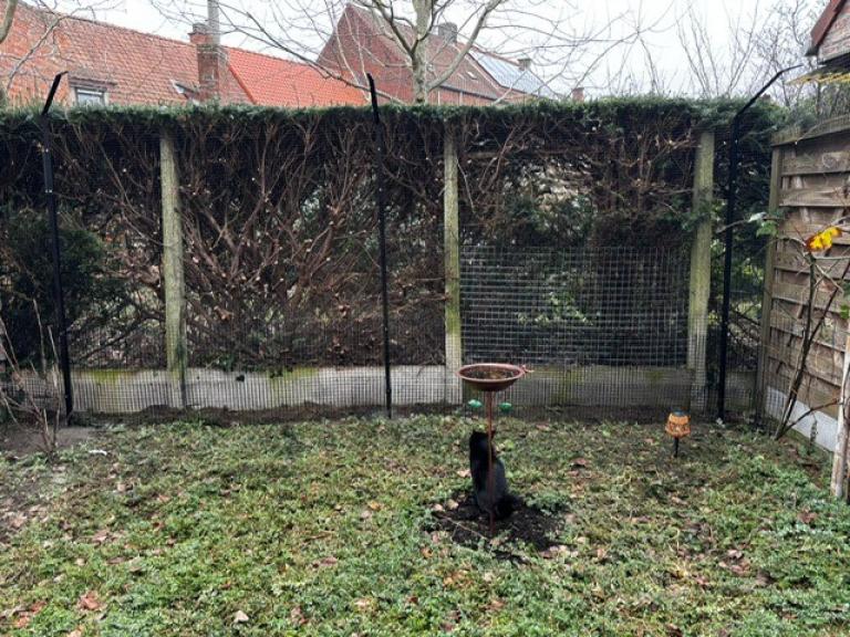 kattenomheining