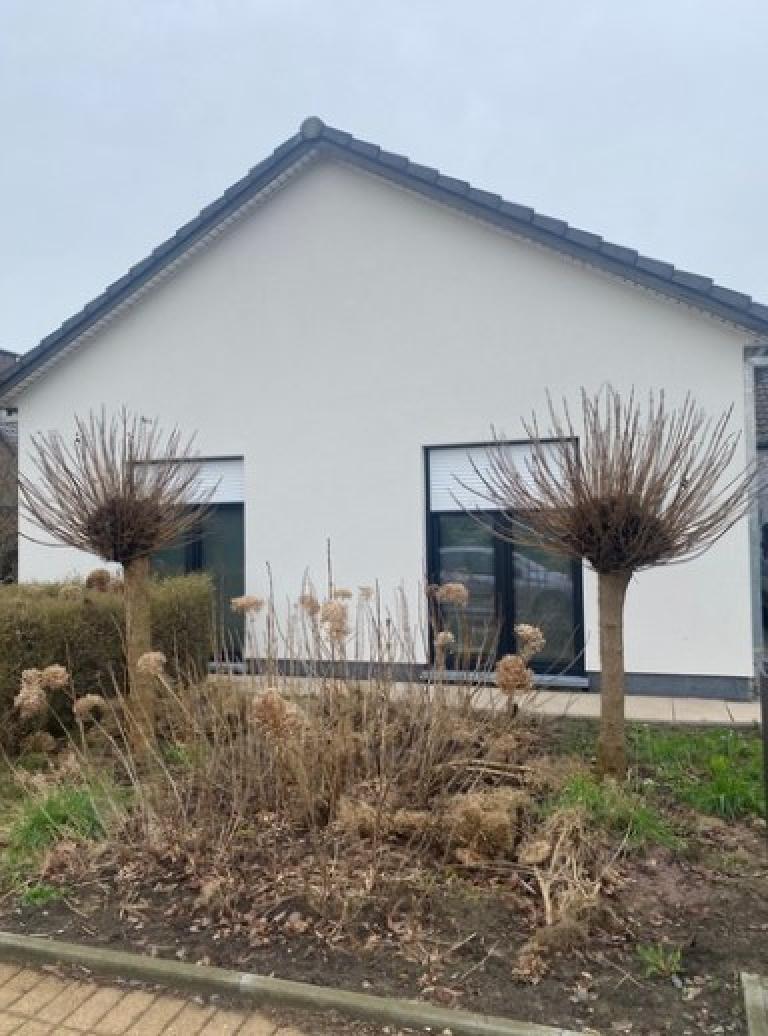 renovatie