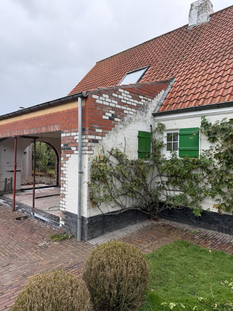 renovatie