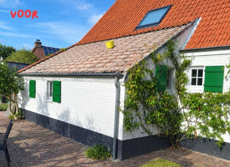 renovatie