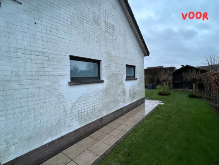 renovatie